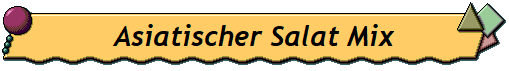 Asiatischer Salat Mix